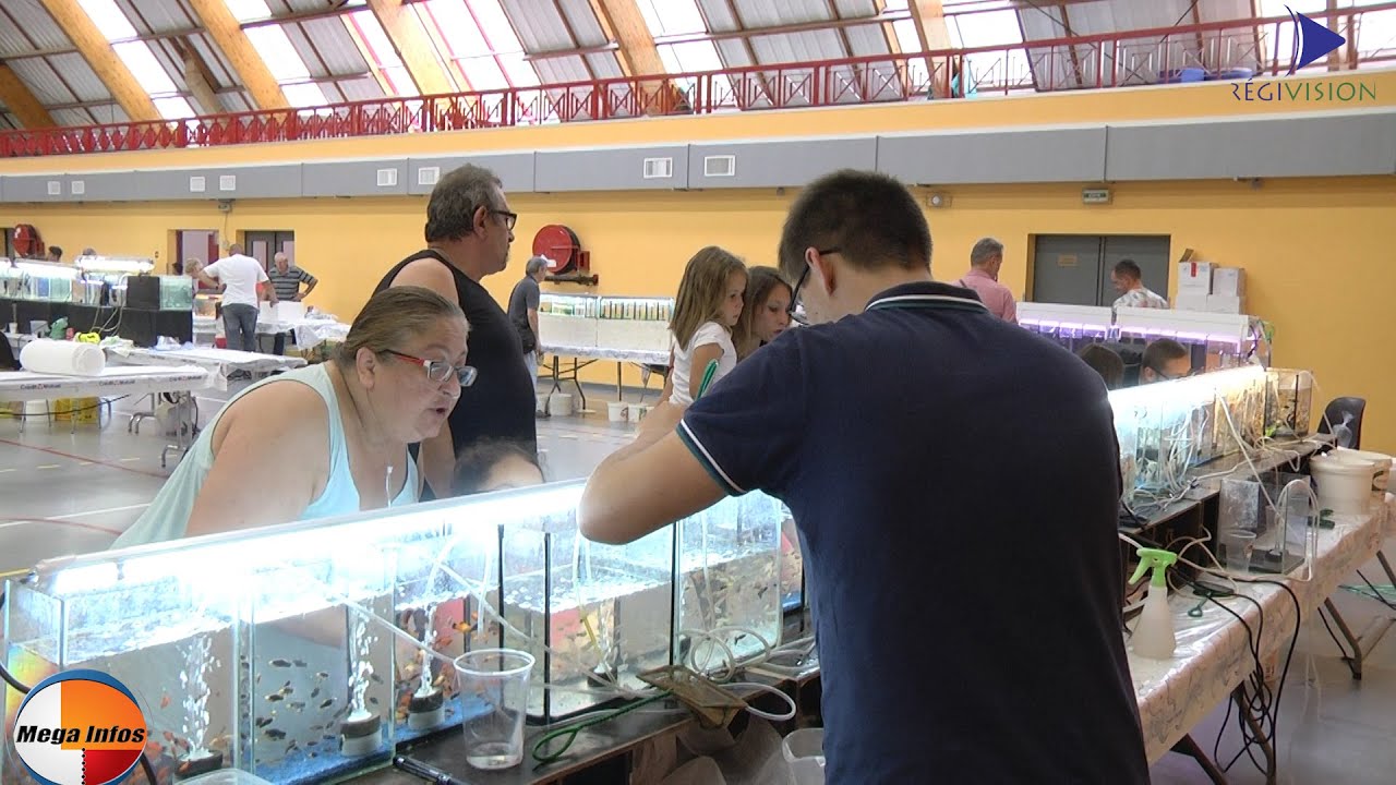 BOURSE AQUARIOPHILE DE KNUTANGE