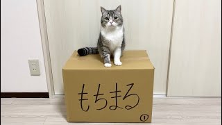 【ご報告】訳あって引越すことにしました。