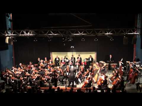 Concerto pour Violon de Tchaikovsky - 1er Mouvement SARAH NEMTANU