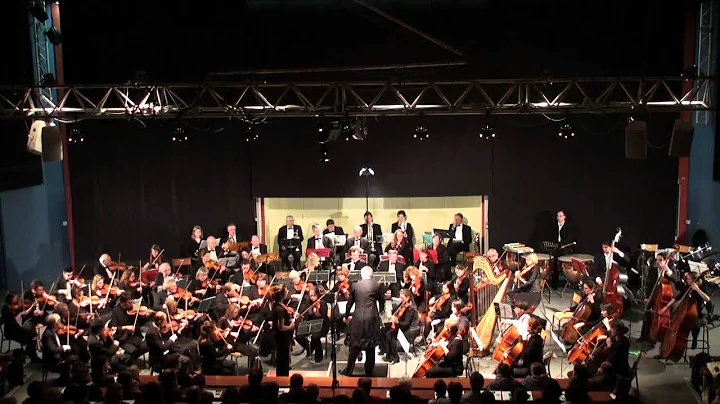 Concerto pour Violon de Tchaikovsky - 1er Mouvemen...