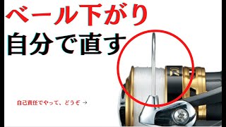 ベール下がりを直す Youtube