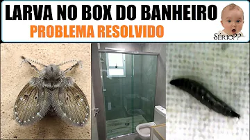 Como matar larvas pretas de banheiro?