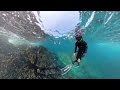 【4K 】Hayama Shibasaki Coast Underwater World(2024.10.15 JAPAN)