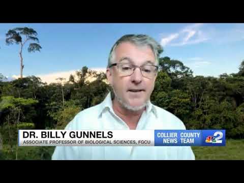 Petting manatees illegal in Florida - YouTube