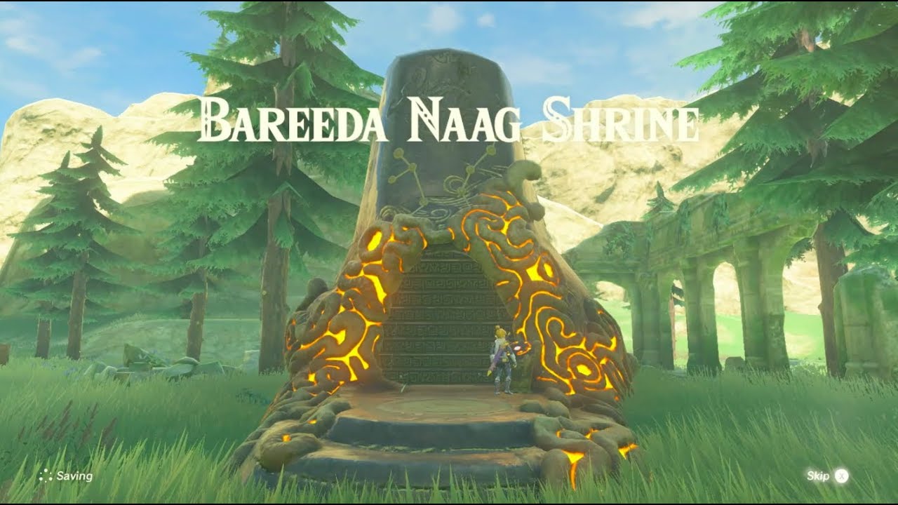 BAREEDA NAAG SHRINE TUTORIAL