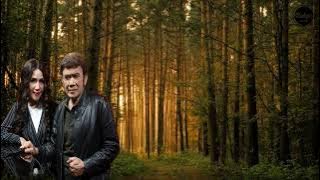 Cape Lirik_👑 RHOMA IRAMA Feat RITA SUGIARTO