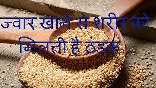 ज्वार खाने से शरीर को मिलती है ठंडक । ज्वार के हैरान करने वाले फायदे । Health  benefits of Jwaar