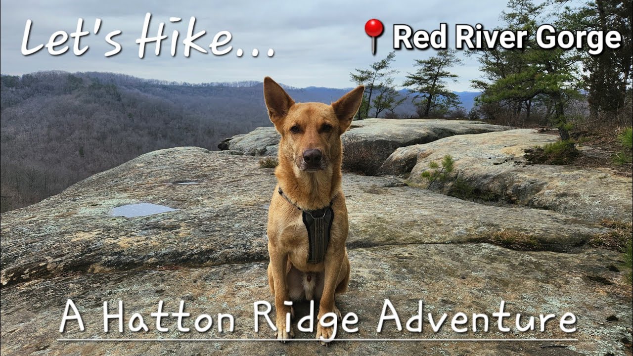 Arches of Hatton Ridge + Blackburn Rock - Off-trail - Red River Gorge - Kentucky - 3/22/23