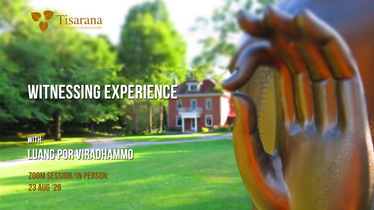 Witnessing experience | Luang Por Viradhammo  | 23 Aug '26
