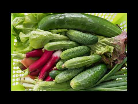 Lose Weight with 7 vegetables