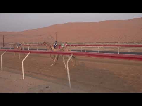 الشوط 6 واقع ل مبارك محمد مجينين المنصوري توقيت 4 46 6