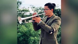 Skyfall Adele trumpet cover