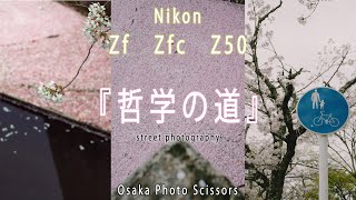 【Nikonで撮る桜】京都の桜の名所『哲学の道』をスナップしてみた！