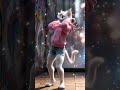 cat dance #ai#cat#viral #shorts #youtubeshorts