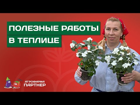 ЧТО ВЫСАДИТЬ В ТЕПЛИЦУ В КОНЦЕ АПРЕЛЯ?