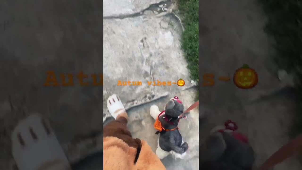 Autumn vibes!