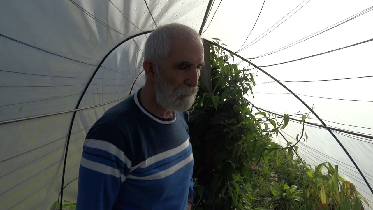 El vergel de las hadas con Santi Soto | Plantas aromáticas