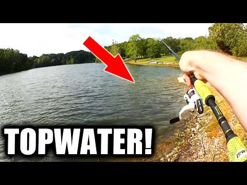 Spring Bass Fishing From The Bank With TOPWATER!