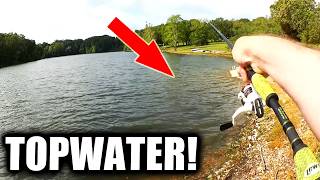 Spring Bass Fishing From The Bank With TOPWATER!