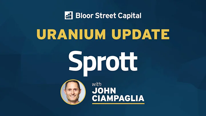 Sprott Asset Management - CEO John Ciampaglia