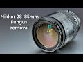 Nikon Nikkor 28-85mm : Fungus cleaning