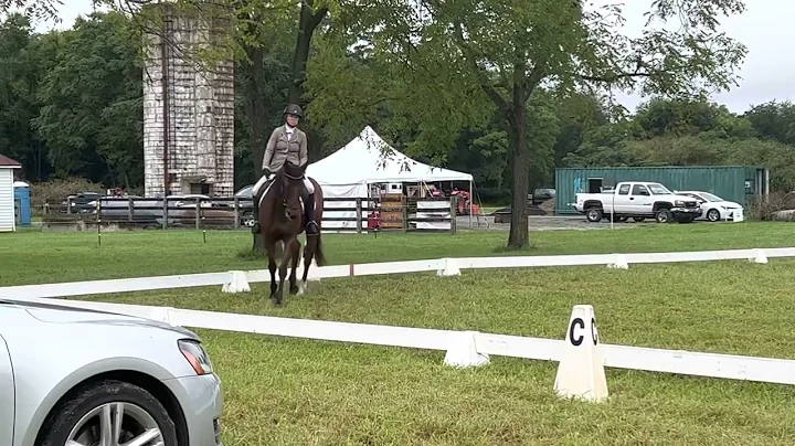 2022 USEA Novice Test A, DGE Swipe Right, Courtney Sendak. Score of 30.