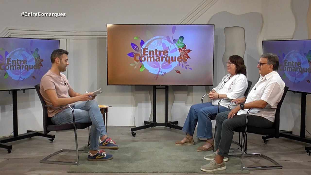 🎨 Entre Comarques | Entrevista a Manuel Albert i MarĂa JosĂ© Miñano, de Paleta i Pinzell