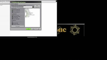 CO-Mimic Installation