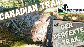 Dieser Trail ist richtig gut | Canadian Trail | MTB Freiburg e.V. | 2023