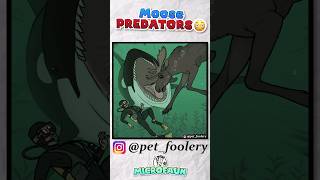 Orcas Regularly Hunt Moose??