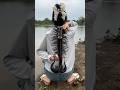 Survival Skills: Useful And Clever #outdoors #survival #campfire #bushcraft