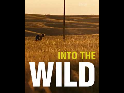Into the Wild