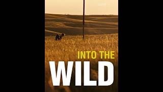 Into The Wild About Cinema