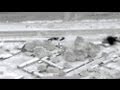 Mali French Jets Destroy Home Of Rebel Leader Mali French Jets Destroy Home Of Rebel Leader