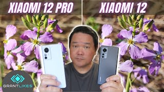 Xiaomi 12 Vs Xiaomi 12 Pro Camera Test  50mp Cameras  Different Sensors  Same Result