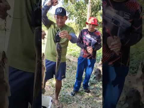 Unang Entry ng Team Cavite sa Lord of the Eels S2