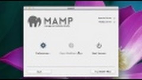 Basic settings of MAMP Server OSX