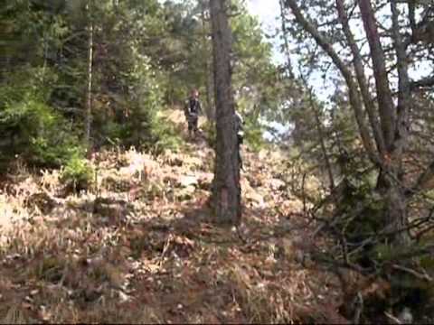 კლდეკარი-ალგეთის ნაკრძალი