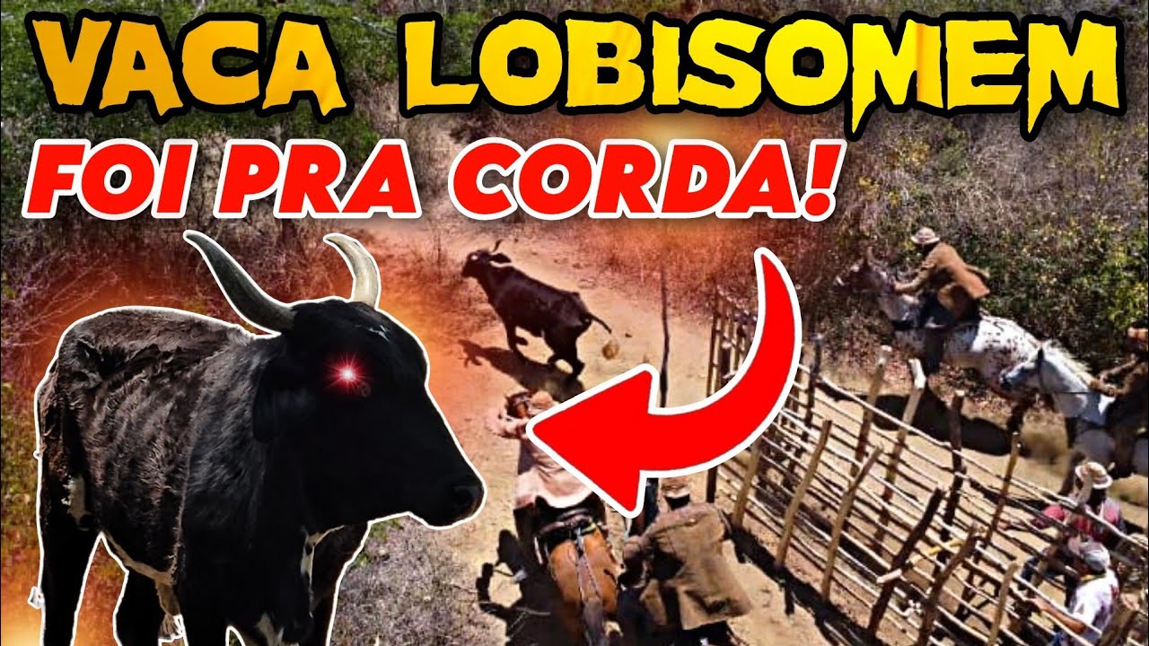 OS VAQUEIROS PEGARAM A LOBISOMEM, MAS AS OUTRAS 3, CONTINUAM INVICTA