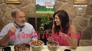 Podcast Episode 0071 - “Fig-a-Grow! Fig-a-Grow! Fig-a-Grow!”