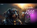 Нашел топовые наушники за 2500 руб или обзор Tronsmart Sounfii Q20