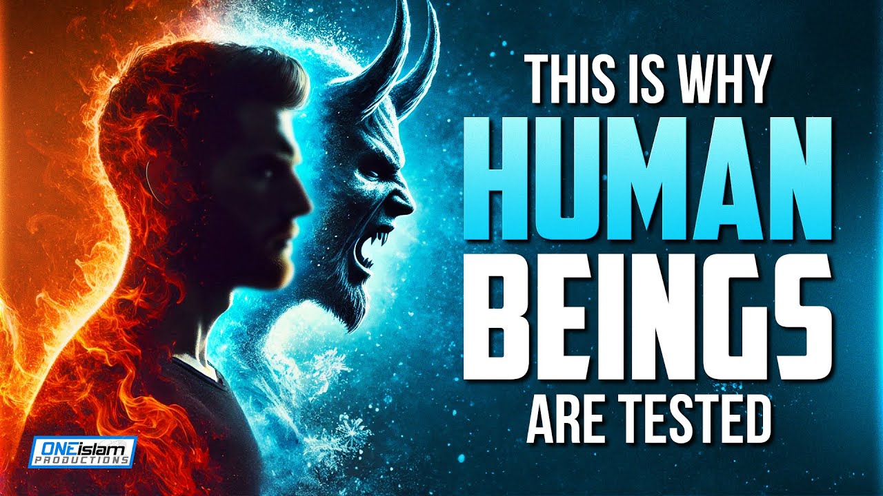 Human Tested This Is Why Human Beings Are Tested In The World - YouTube