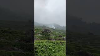 IMG 5089