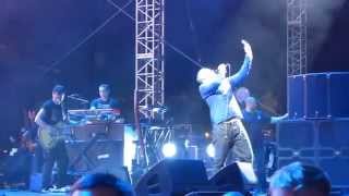 Morrissey - Everyday is Like Sunday at FYF 2015 - Nacho DelaGarza Photography