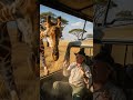Funny Giraffe Moments With Wild Safari Watch These Tall Jokes #wildlife #funnyanimals #safari