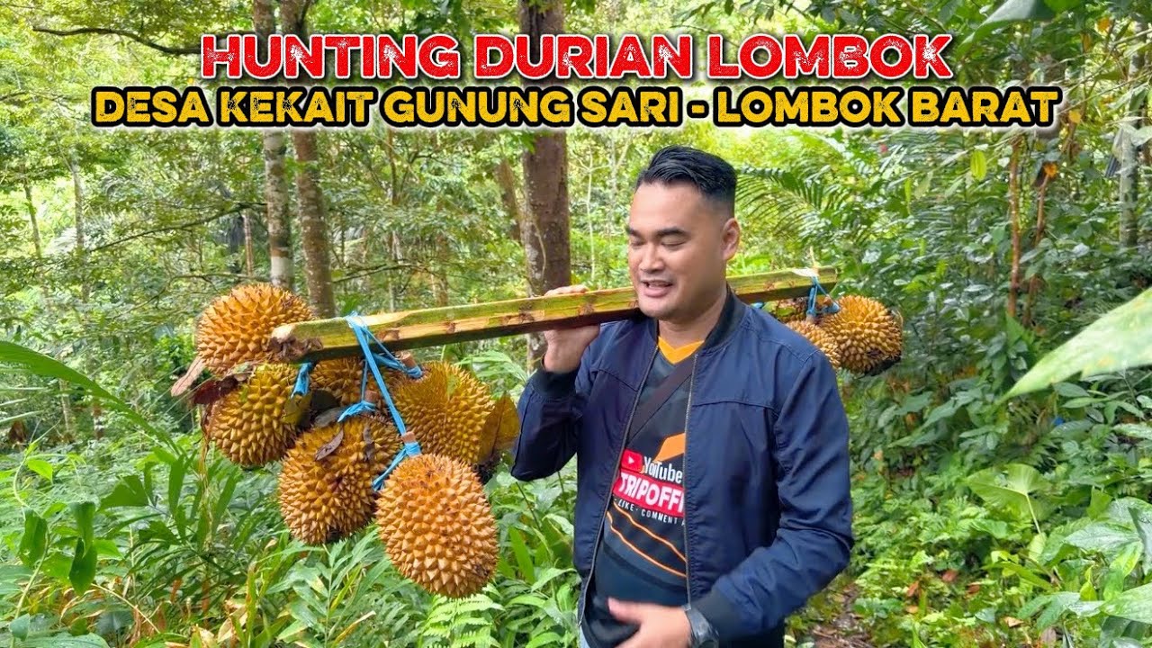 HUNTING DURIAN LOMBOK || DESA KEKAIT KECAMATAN GUNUNG SARI - LOMBOK BARAT