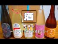 【Vlog】酒ガチャ  〜ワクワク感覚でお酒を注文〜　/ Sake gacha  〜Enjoy ordering sake〜