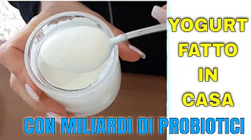 Quali sono gli yogurt fermentati?