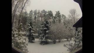Snowfall Time Lapse Albany, Ny 12/29/16
