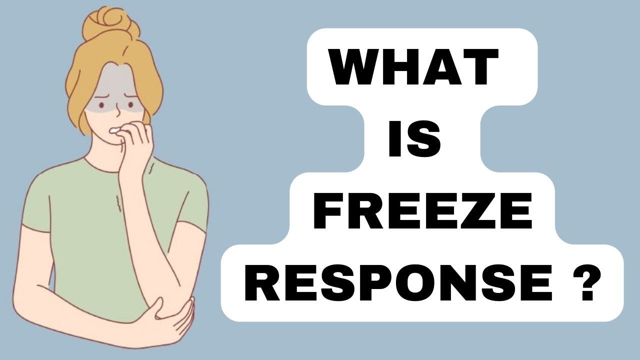 What is Freeze Response YouTube